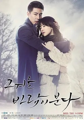 那年冬天，风在吹 그 겨울 바람이 분다 (2013) 韩剧